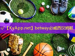 betway必威西漢姆聯：健身房器材維修費