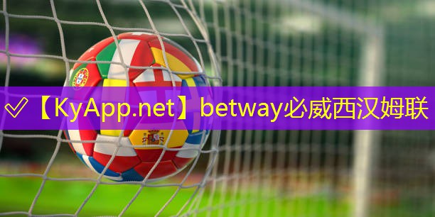 betway必威：硅pu球場面層造價