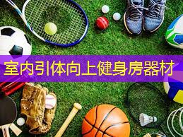 室內(nèi)引體向上健身房器材