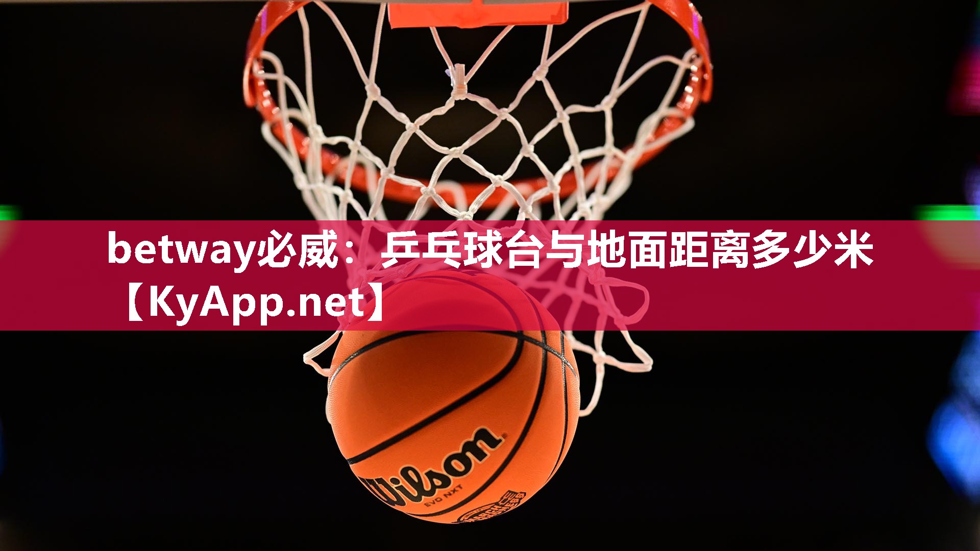 betway必威：乒乓球臺與地面距離多少米