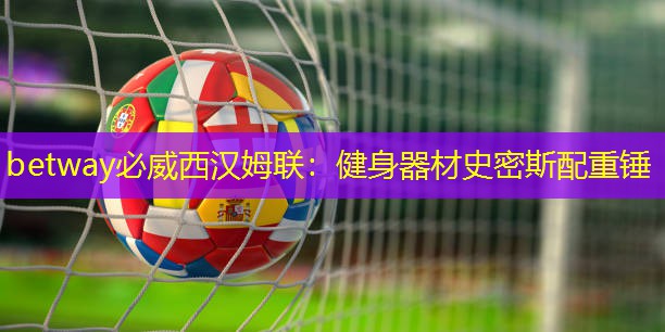 健身器材史密斯配重錘