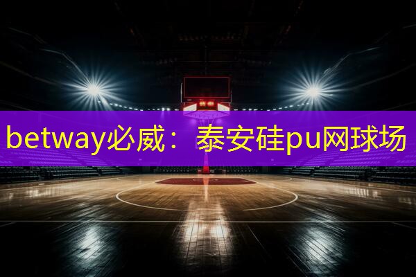 泰安硅pu網(wǎng)球場