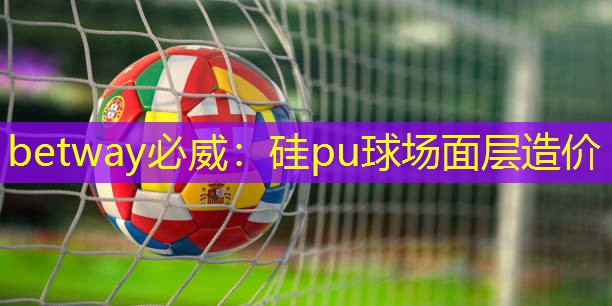 硅pu球場面層造價