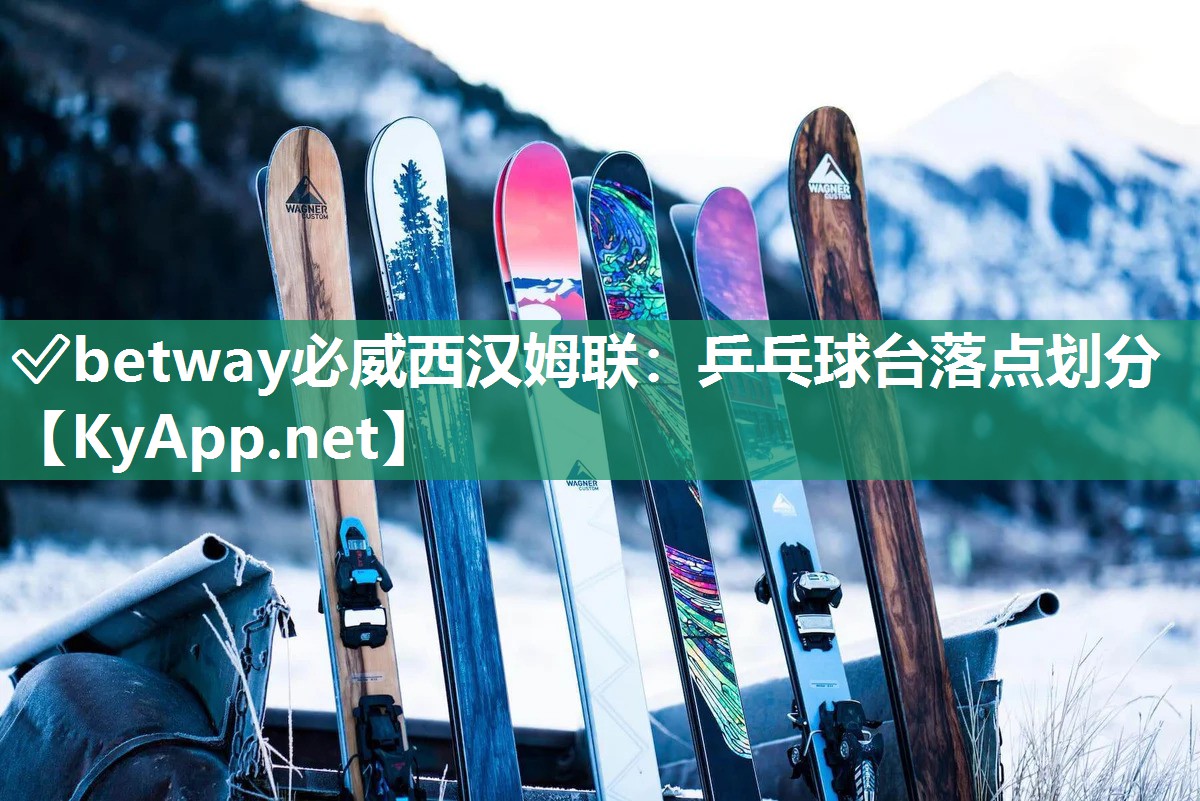 乒乓球臺落點(diǎn)劃分