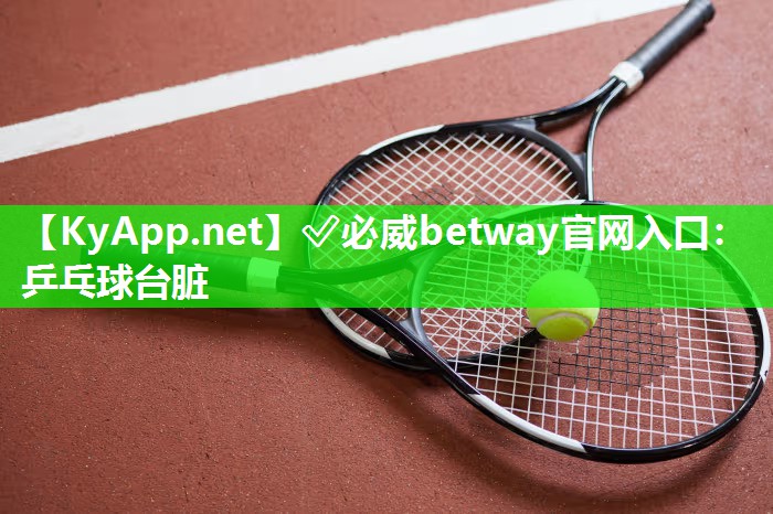 乒乓球臺臟