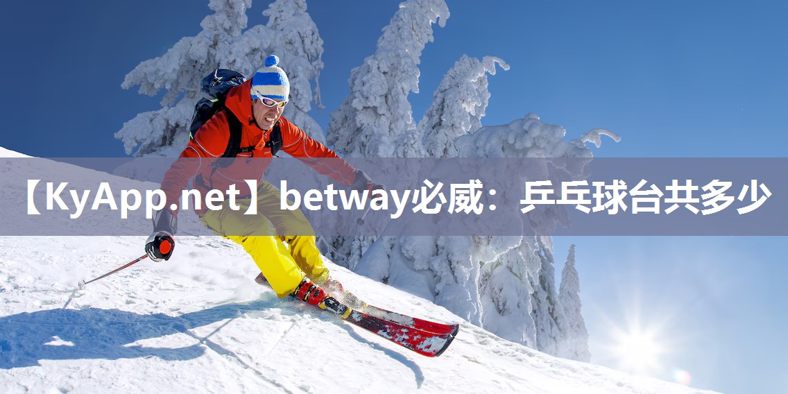 乒乓球臺(tái)共多少