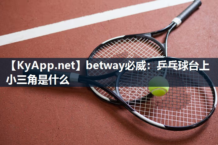 乒乓球臺(tái)上小三角是什么