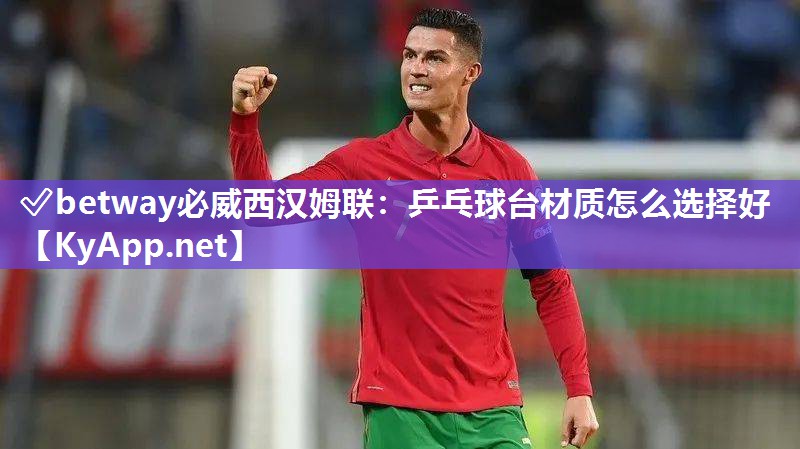乒乓球臺材質怎么選擇好