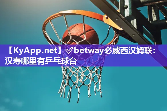 漢壽哪里有乒乓球臺(tái)