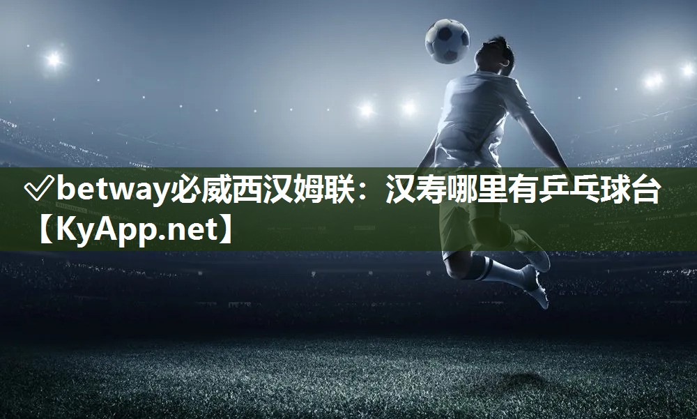 漢壽哪里有乒乓球臺(tái)