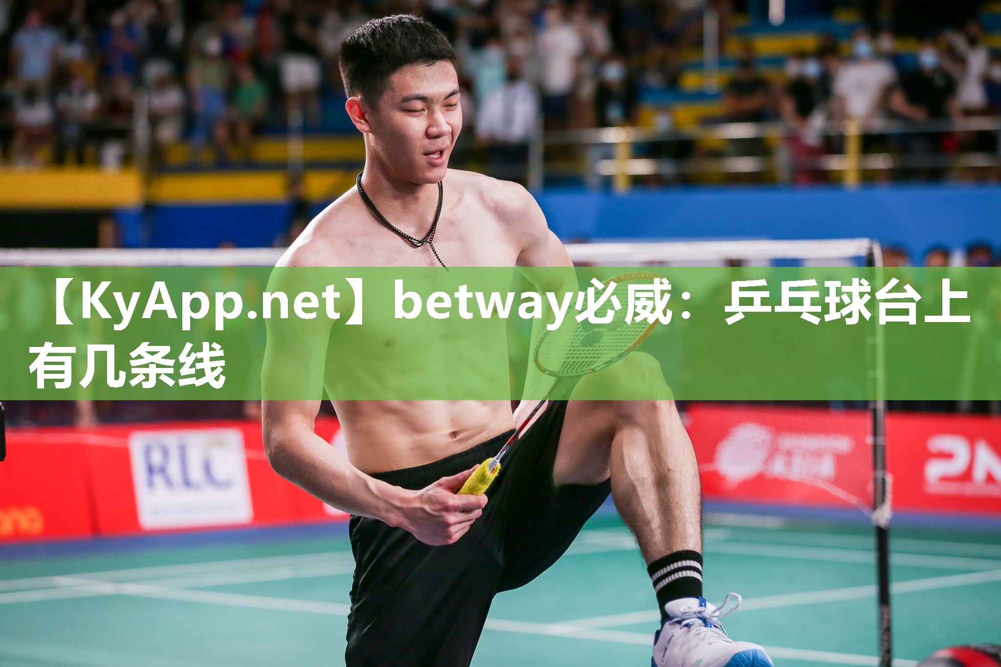 乒乓球臺(tái)上有幾條線