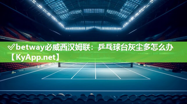 乒乓球臺灰塵多怎么辦