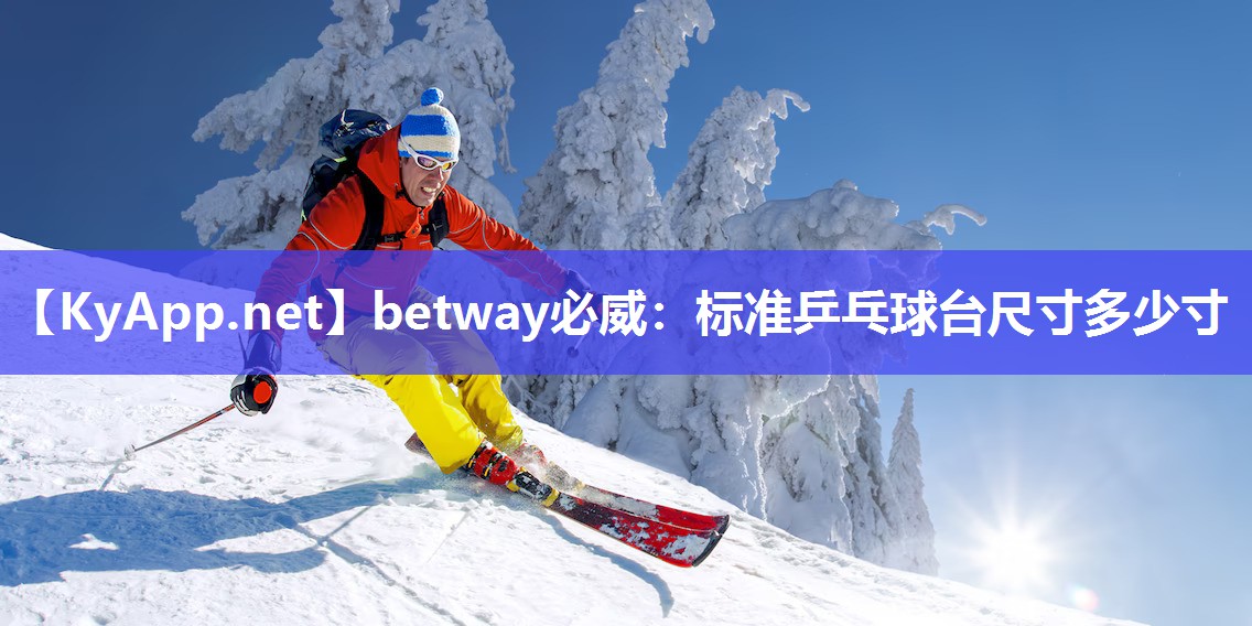 標(biāo)準(zhǔn)乒乓球臺(tái)尺寸多少寸