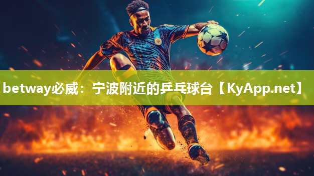 寧波附近的乒乓球臺