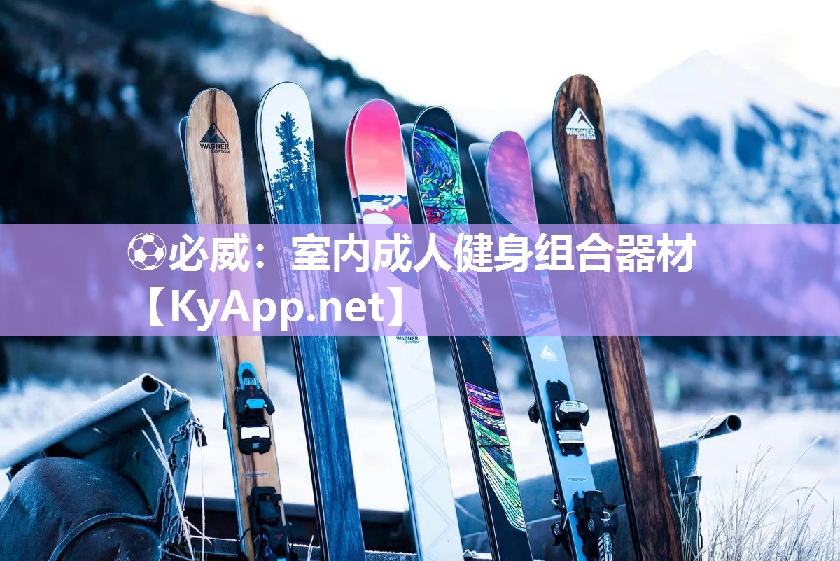 室內(nèi)成人健身組合器材