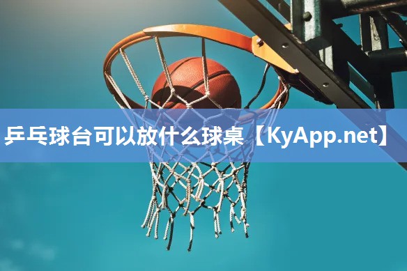 乒乓球臺可以放什么球桌