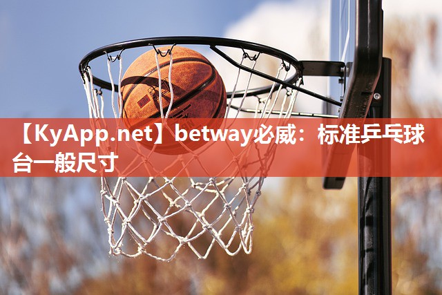 標(biāo)準(zhǔn)乒乓球臺(tái)一般尺寸