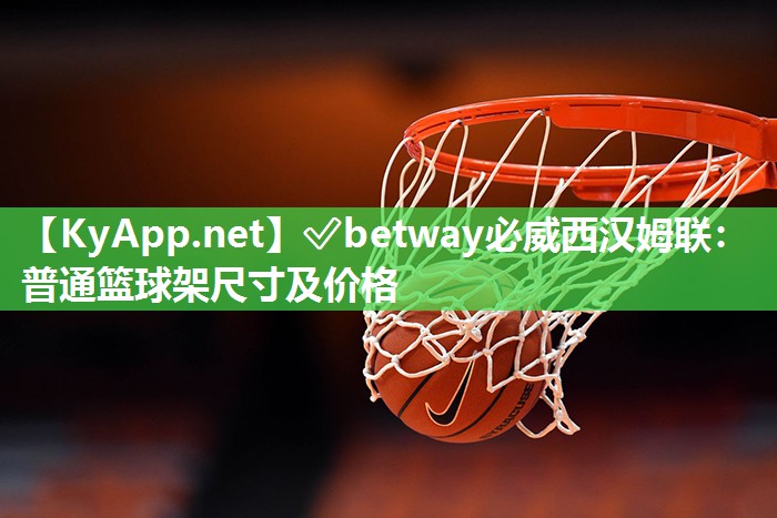 普通籃球架尺寸及價格