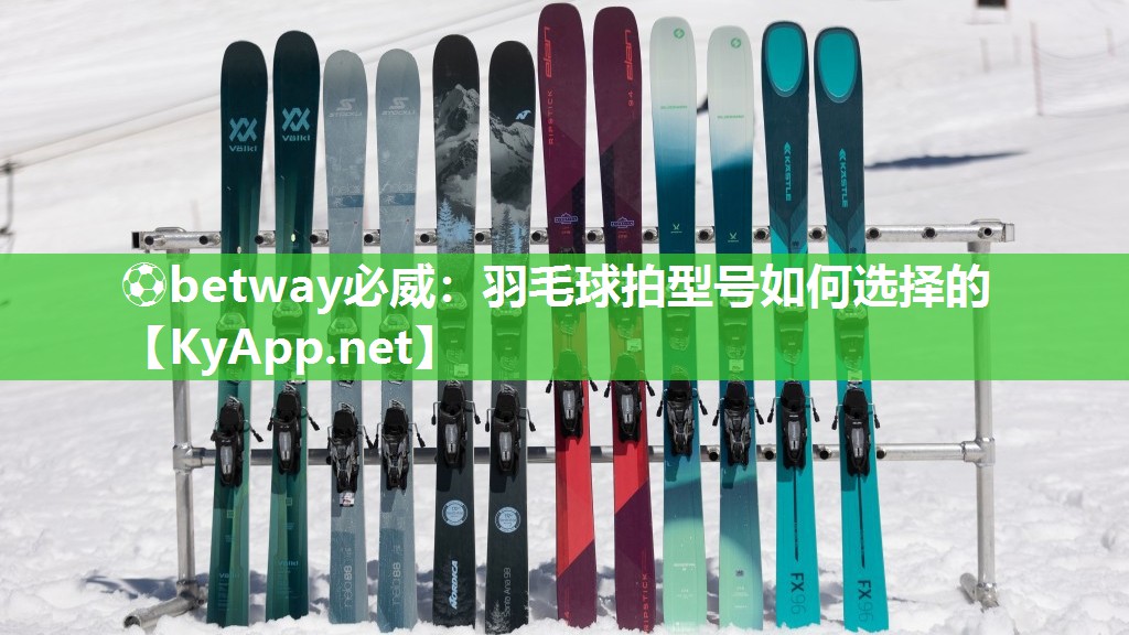 羽毛球拍型號如何選擇的