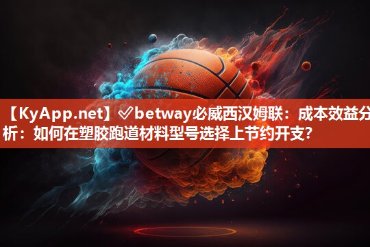 成本效益分析：如何在塑膠跑道材料型號(hào)選擇上節(jié)約開(kāi)支？