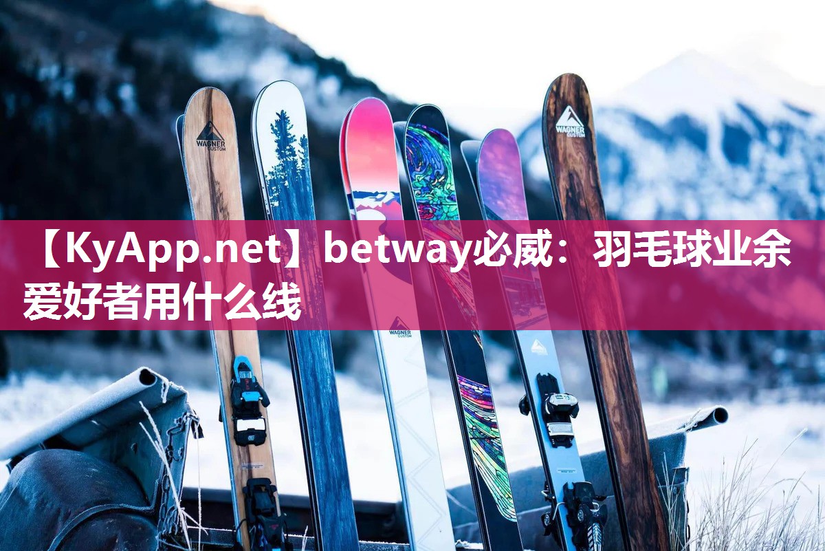 羽毛球業(yè)余愛(ài)好者用什么線(xiàn)