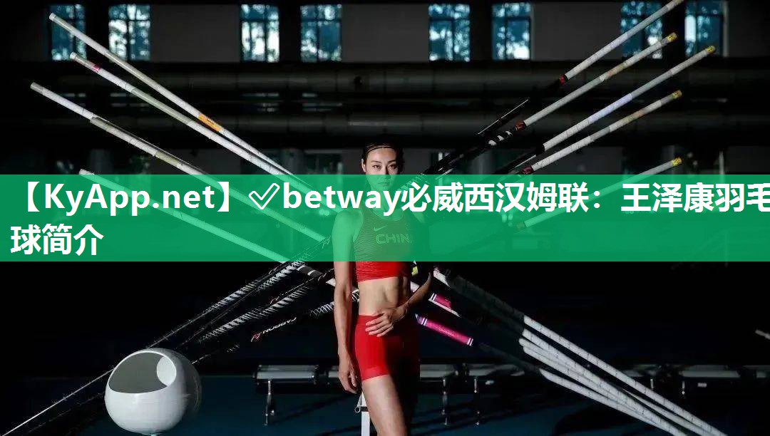 王澤康羽毛球簡介