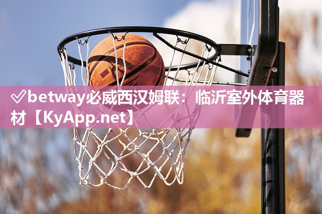 臨沂室外體育器材