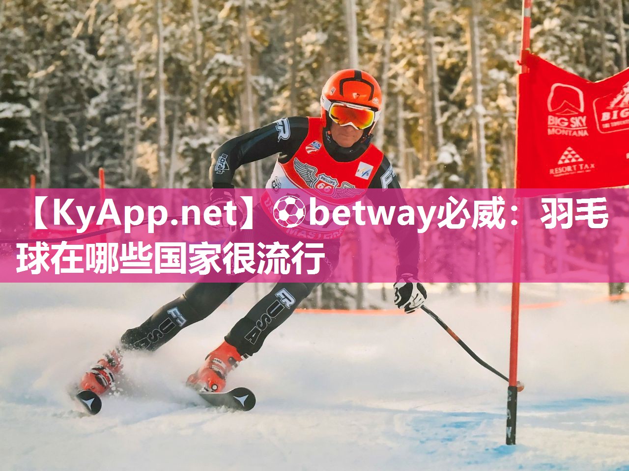 羽毛球在哪些國家很流行