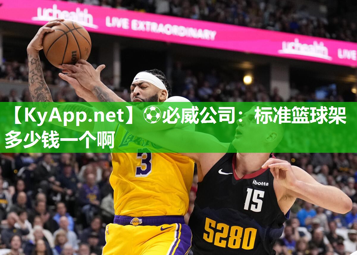 標準籃球架多少錢一個啊