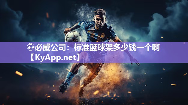 標準籃球架多少錢一個啊