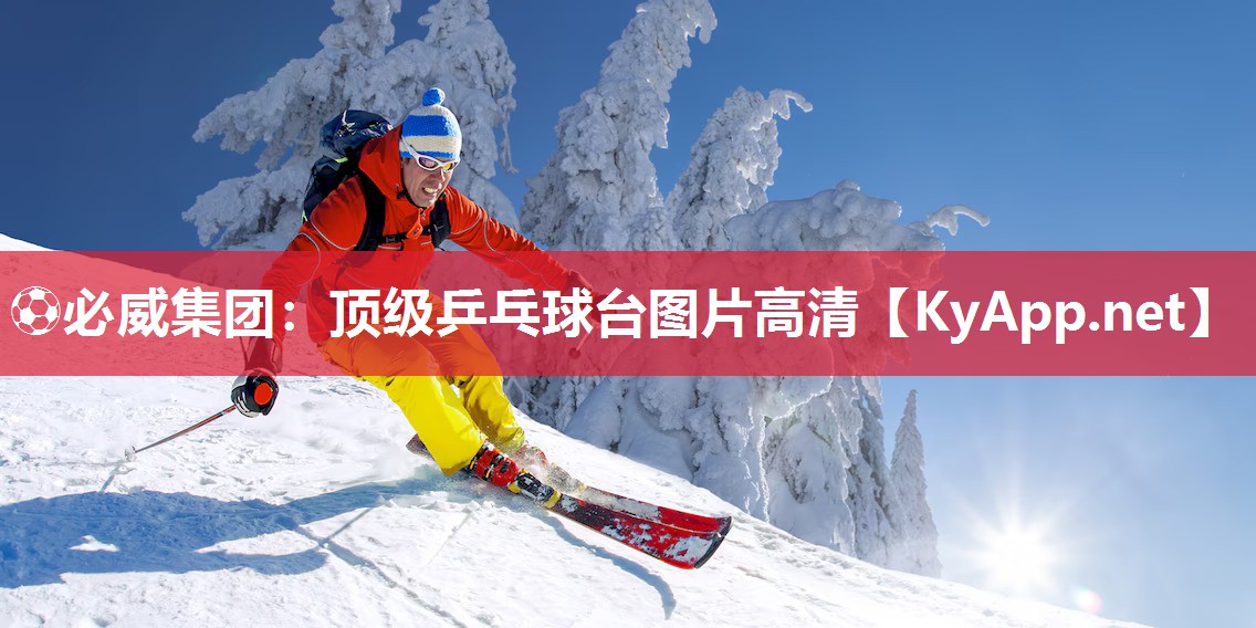 頂級乒乓球臺圖片高清